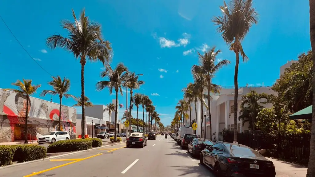 Florida Activities